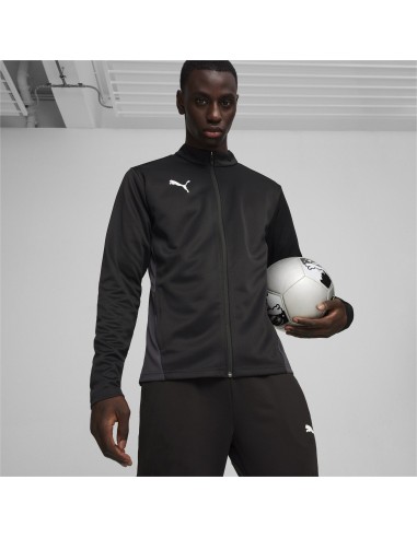 Puma teamGOAL Training Jacket  - Noir