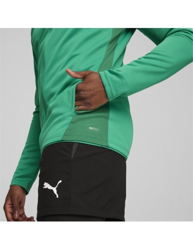 Puma teamGOAL Training Jacket  - Vert