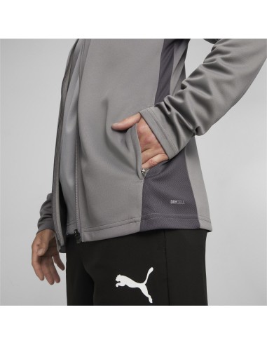 Puma teamGOAL Training Jacket  - Gris