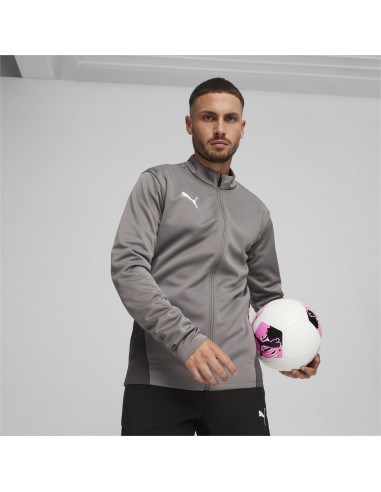 Puma teamGOAL Training Jacket  - Gris