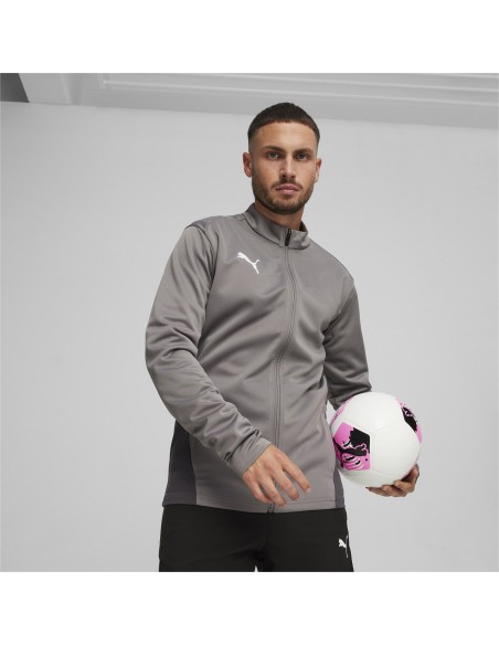 Puma teamGOAL Training Jacket  - Gris