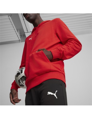 Puma teamGOAL Casuals Hoodie  - Rouge