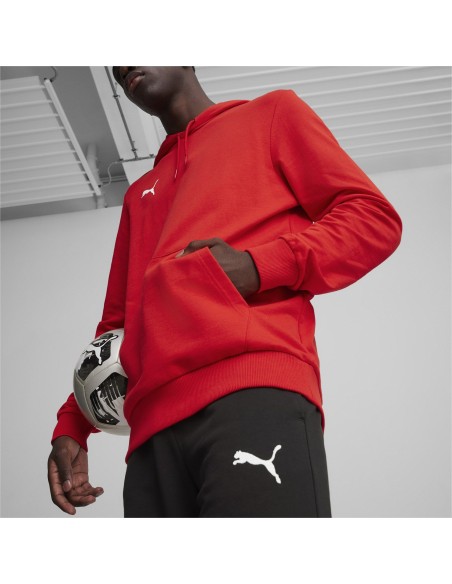 Puma teamGOAL Casuals Hoodie  - Rouge