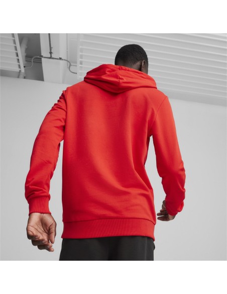 Puma teamGOAL Casuals Hoodie  - Rouge