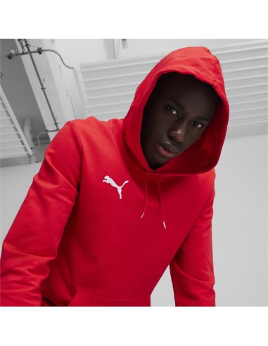 Puma teamGOAL Casuals Hoodie  - Rouge