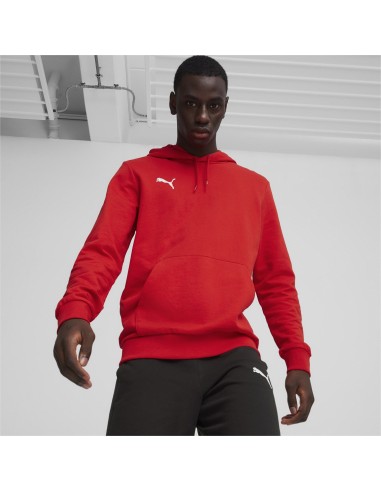 Puma teamGOAL Casuals Hoodie  - Rouge