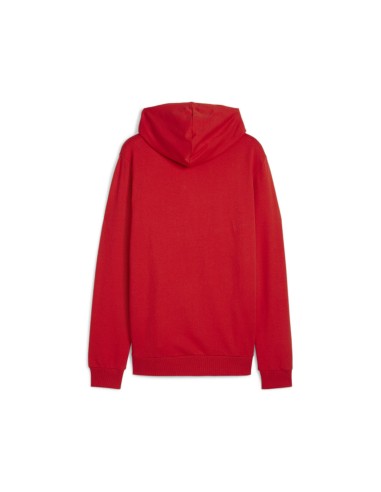 Puma teamGOAL Casuals Hoodie  - Rouge