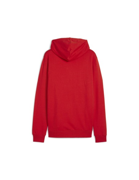 Puma teamGOAL Casuals Hoodie  - Rouge