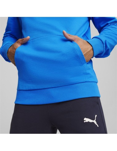 Puma teamGOAL Casuals Hoodie  - Bleu Royal