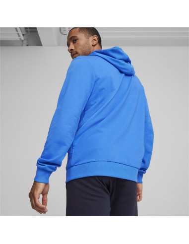 Puma teamGOAL Casuals Hoodie  - Bleu Royal