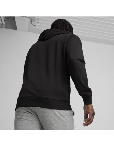 Puma teamGOAL Casuals Hoodie  - Noir