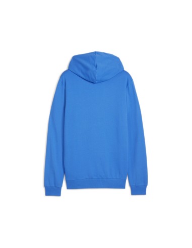 Puma teamGOAL Casuals Hoodie  - Bleu Royal