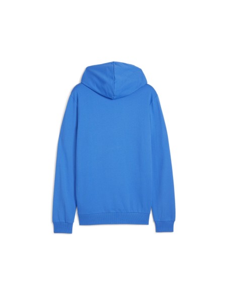 Puma teamGOAL Casuals Hoodie  - Bleu Royal