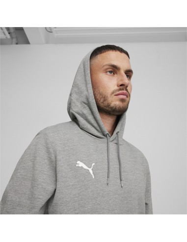 Puma teamGOAL Casuals Hoodie  - Gris