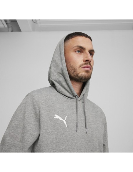 Puma teamGOAL Casuals Hoodie  - Gris
