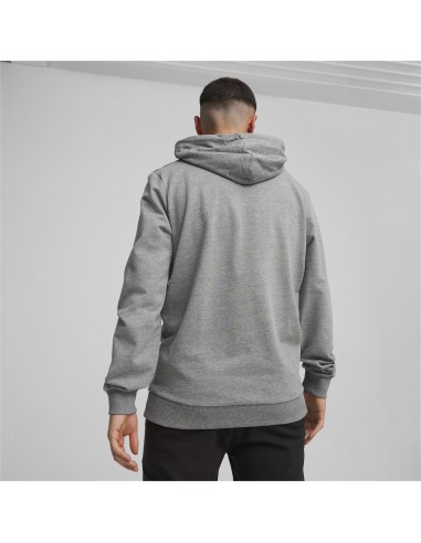Puma teamGOAL Casuals Hoodie  - Gris