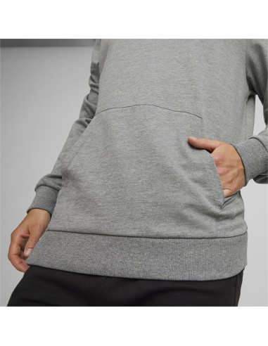 Puma teamGOAL Casuals Hoodie  - Gris