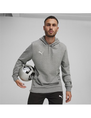 Puma teamGOAL Casuals Hoodie  - Gris