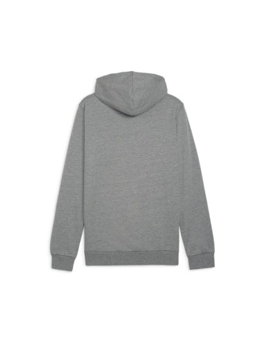Puma teamGOAL Casuals Hoodie  - Gris