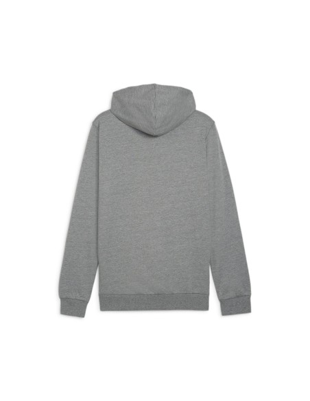 Puma teamGOAL Casuals Hoodie  - Gris