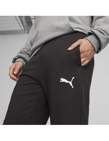 Puma teamGOAL Casuals Pants - Noir