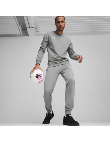 Puma teamGOAL Casuals Pants - Gris