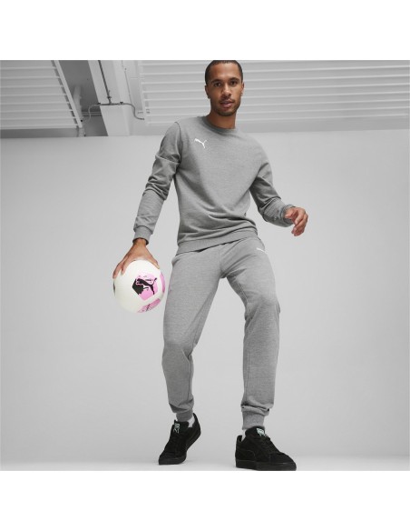 Puma teamGOAL Casuals Pants - Gris