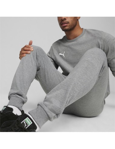 Puma teamGOAL Casuals Pants - Gris
