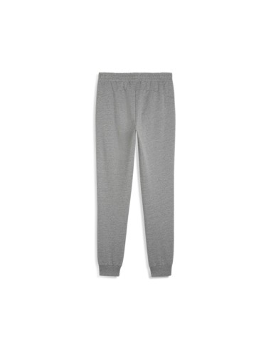 Puma teamGOAL Casuals Pants - Gris
