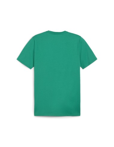 Puma teamGOAL Casuals Tee - Vert