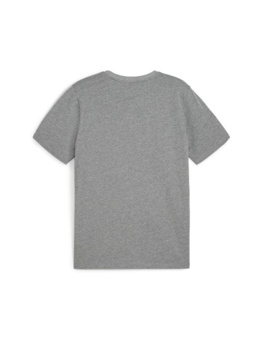 Puma teamGOAL Casuals Tee - Gris