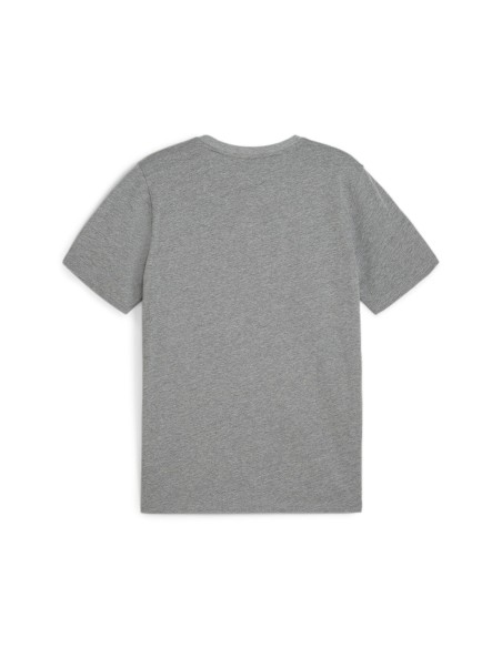 Puma teamGOAL Casuals Tee - Gris