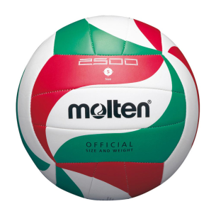 Molten VM2500