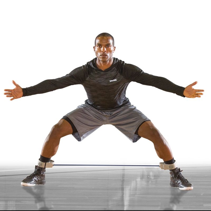 Spalding Lateral Resistor