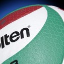 Volley-ball